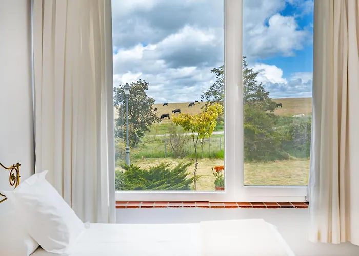 Rural Costa Del Trigo